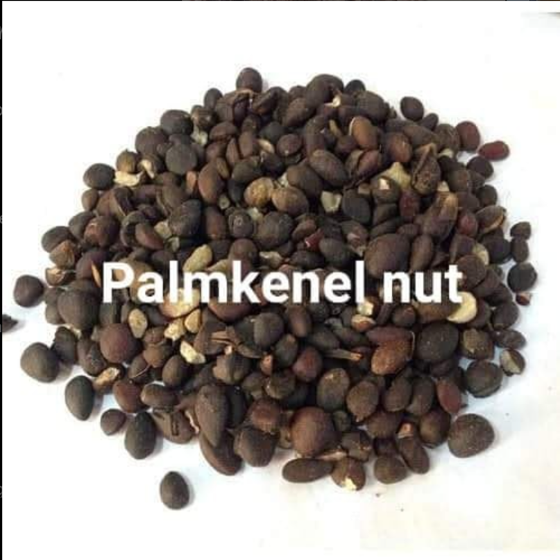 Palm Kernel Oil
